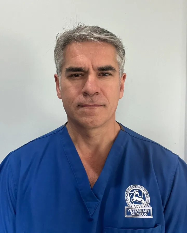 Dr. Petrisor Baia